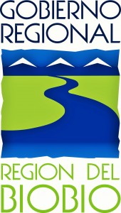 Logo-Gobierno-Regional-del-Bio-Bio-Alta-Resolucion (2)